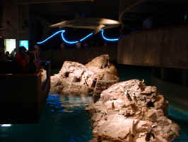 DSCF0056.JPG (159112 byte)