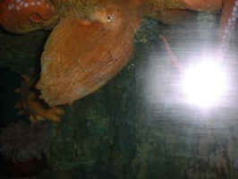 DSCF0061.JPG (169230 byte)