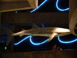 DSCF0068.JPG (150078 byte)