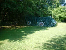 DSCF0010.JPG (169582 byte)